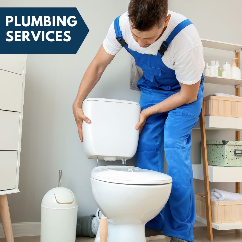 Plumbing Company in Coral, MI